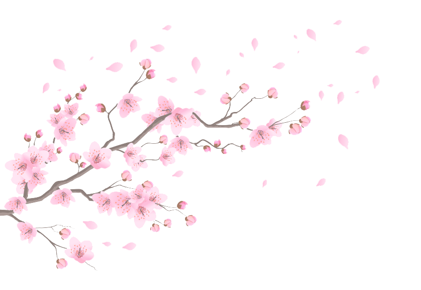 Cherry Blossom Petals Png Transparent